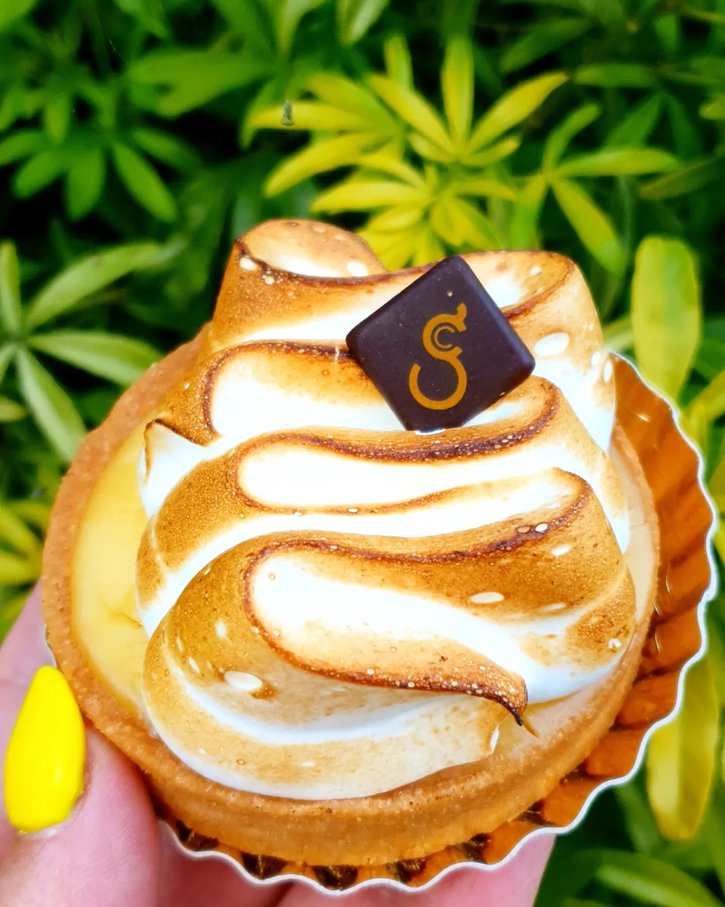 Tarte Citron Meringuée