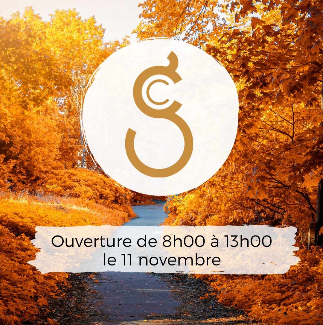 Ouverture 11 Novembre