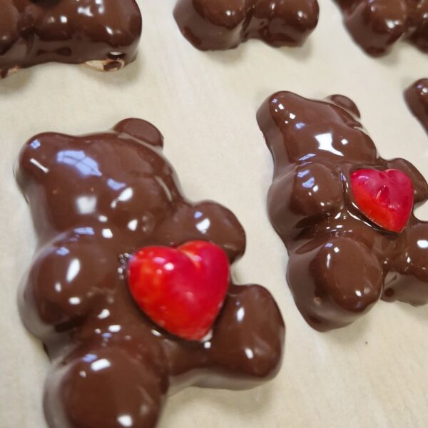 L’ours qui fait fondre les cœurs