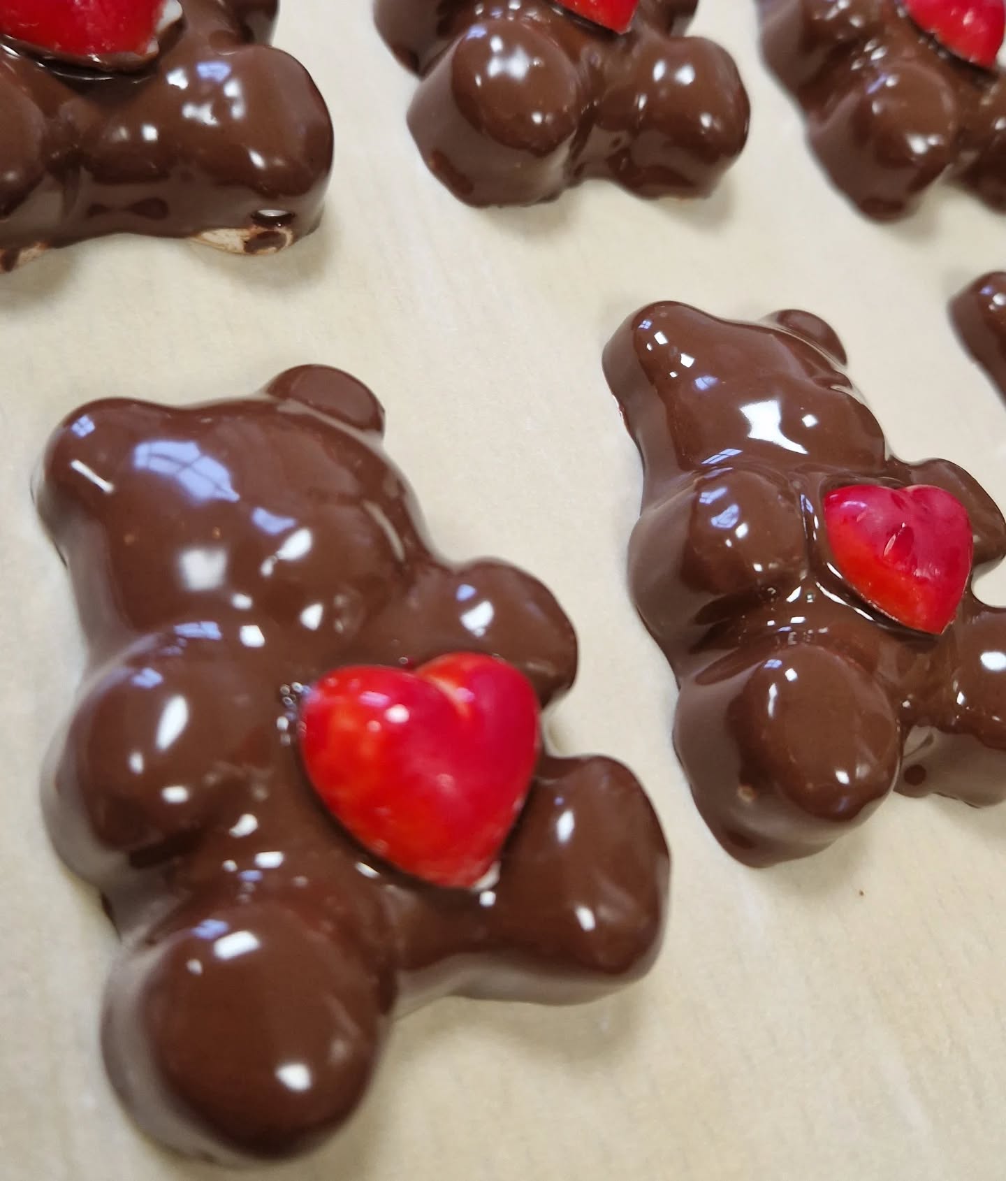 L’ours qui fait fondre les cœurs