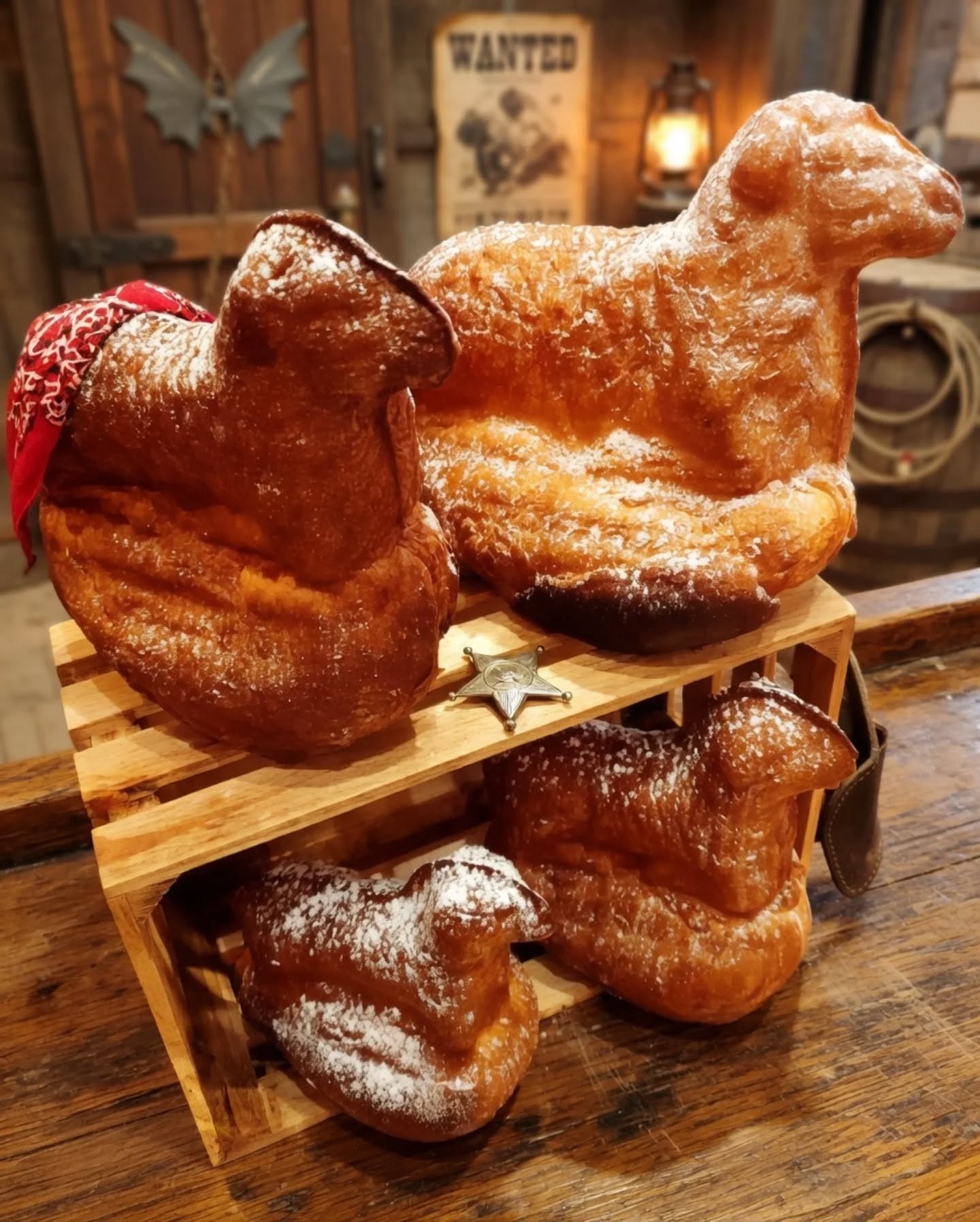 AGNEAUX ET LAPINS DEBARQUENT AU SALOON!!!